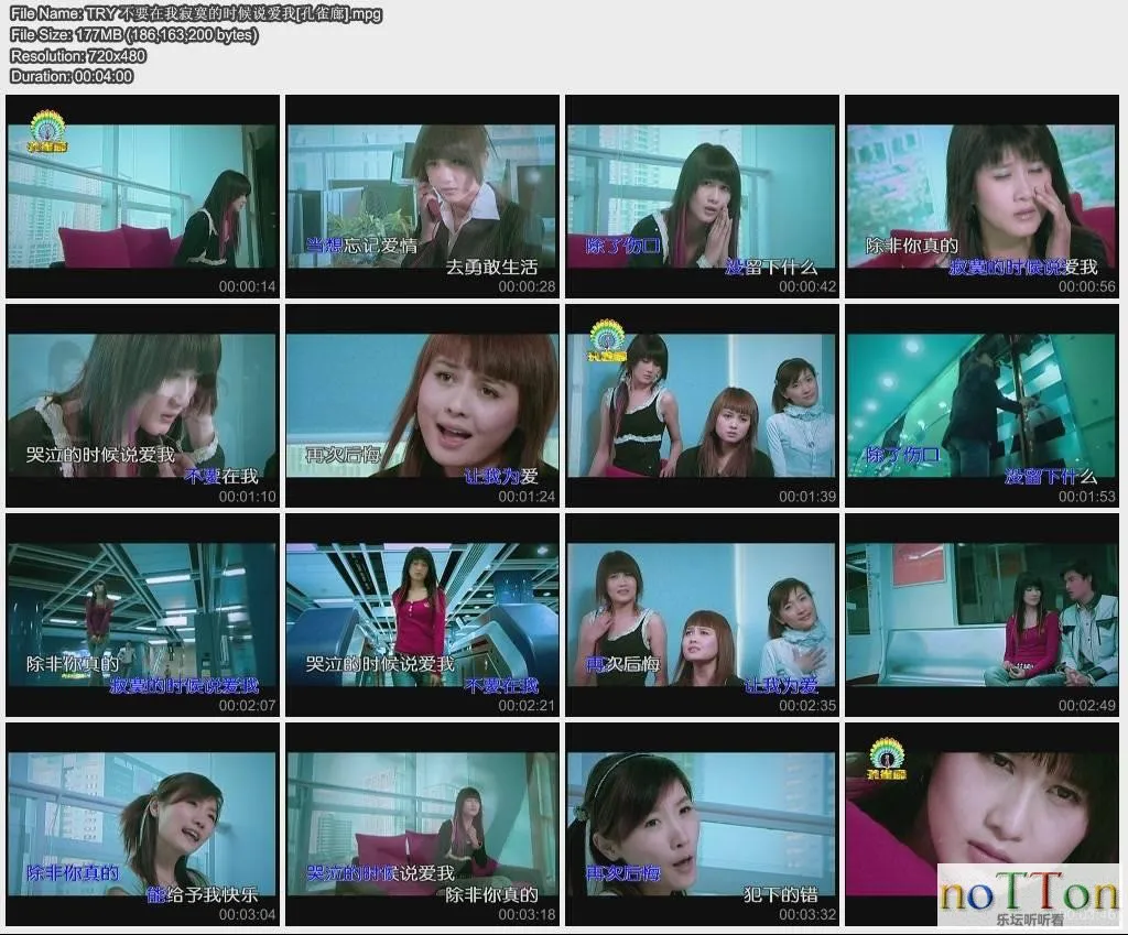 12.webp