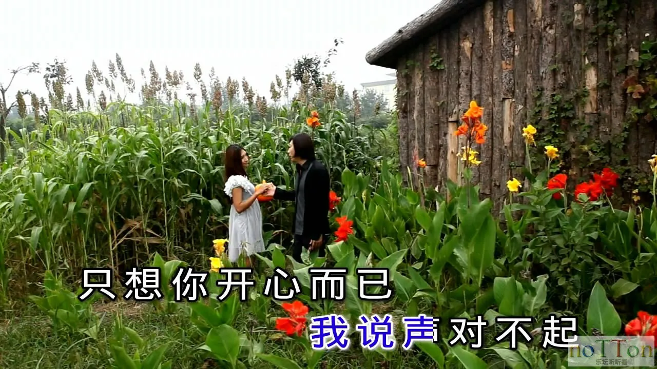 3.webp