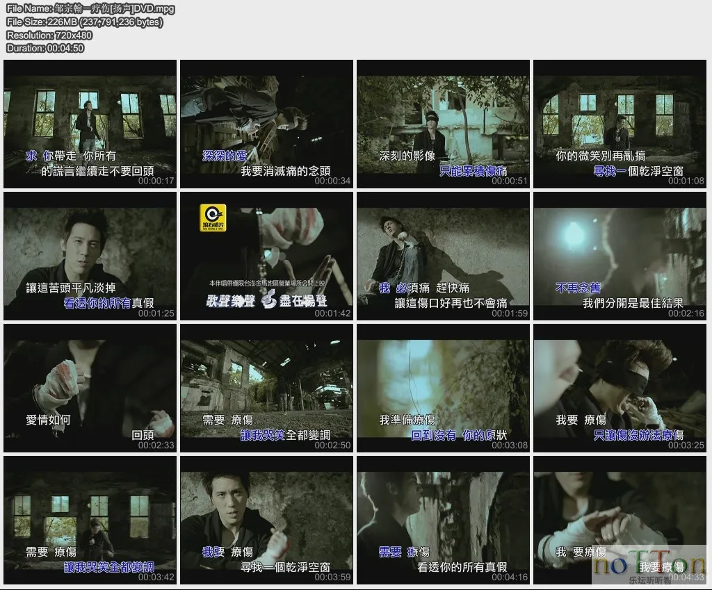 邹宗翰－疗伤[扬声]DVD.webp