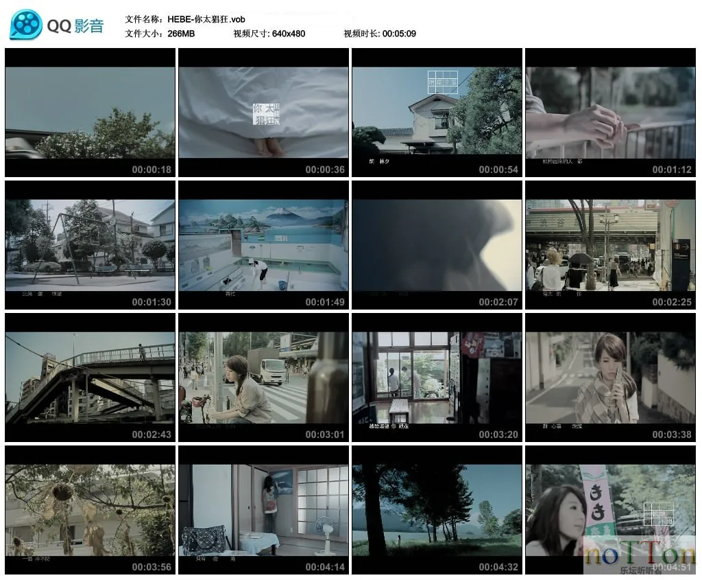 18.webp