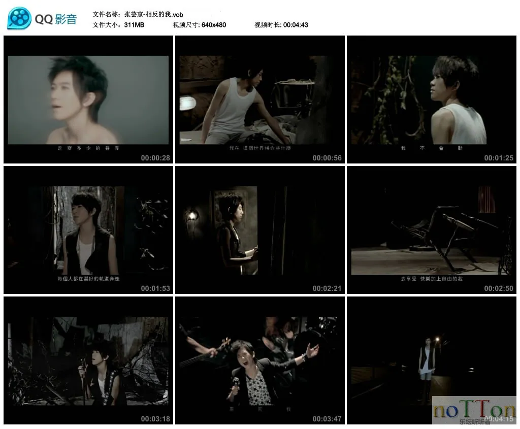 37.webp