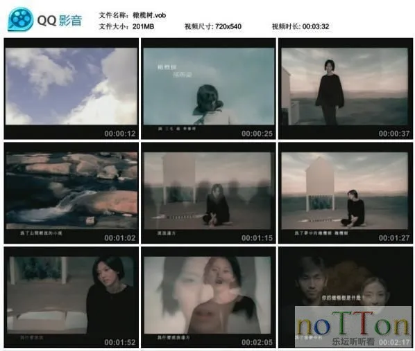 16.webp