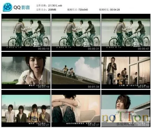 37.webp