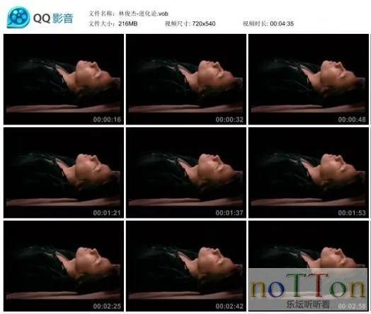 41.webp