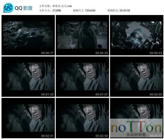 14.webp