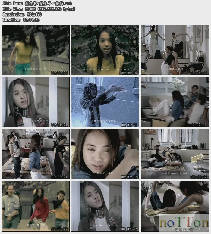 蔡依林-爱上了一条街.webp