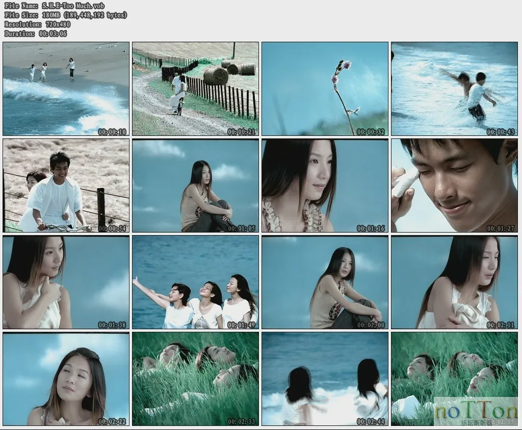 S.H.E-Too Much.webp