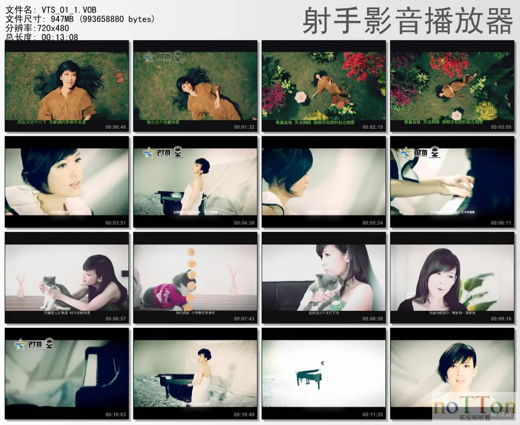 thumbs20130802115321.webp