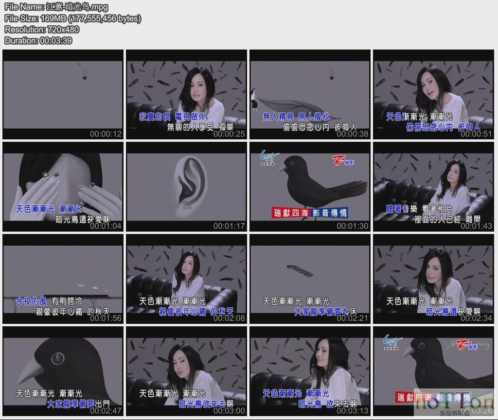江蕙-暗光鸟.jpg