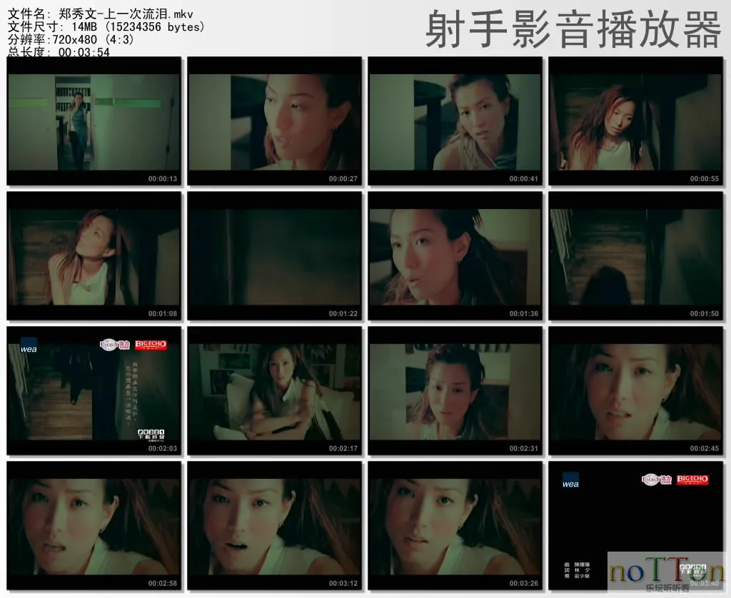 thumbs20131005170608.webp