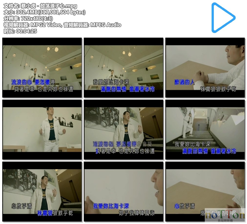 蔡小虎－放荡浪子心.mpg.jpg