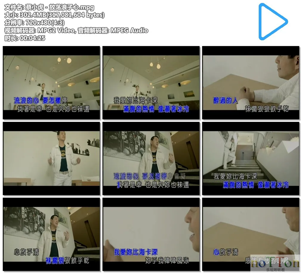 蔡小虎－放荡浪子心.mpg.webp