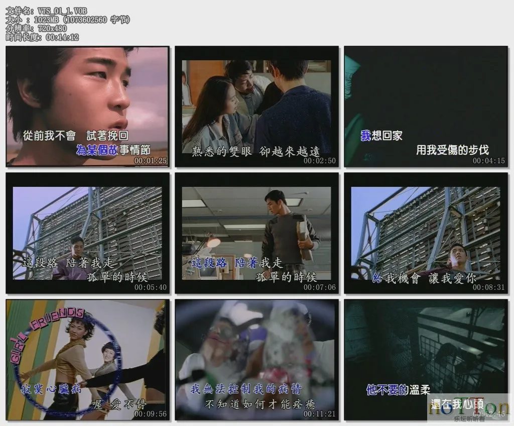 VTS_01_1.VOB.webp
