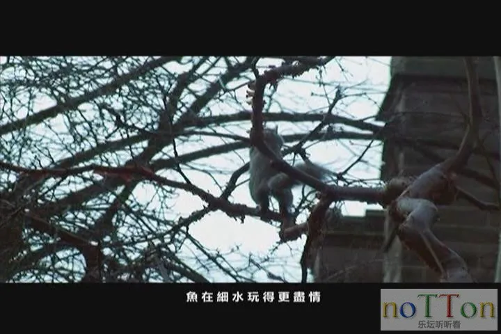 暴风截图20154166556550.webp