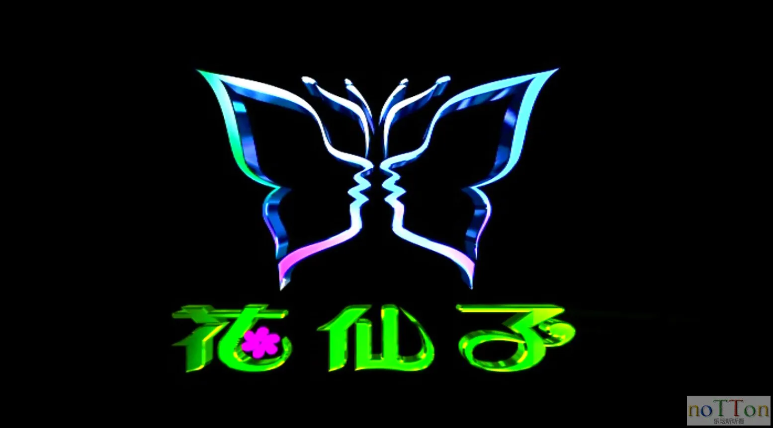 41.webp