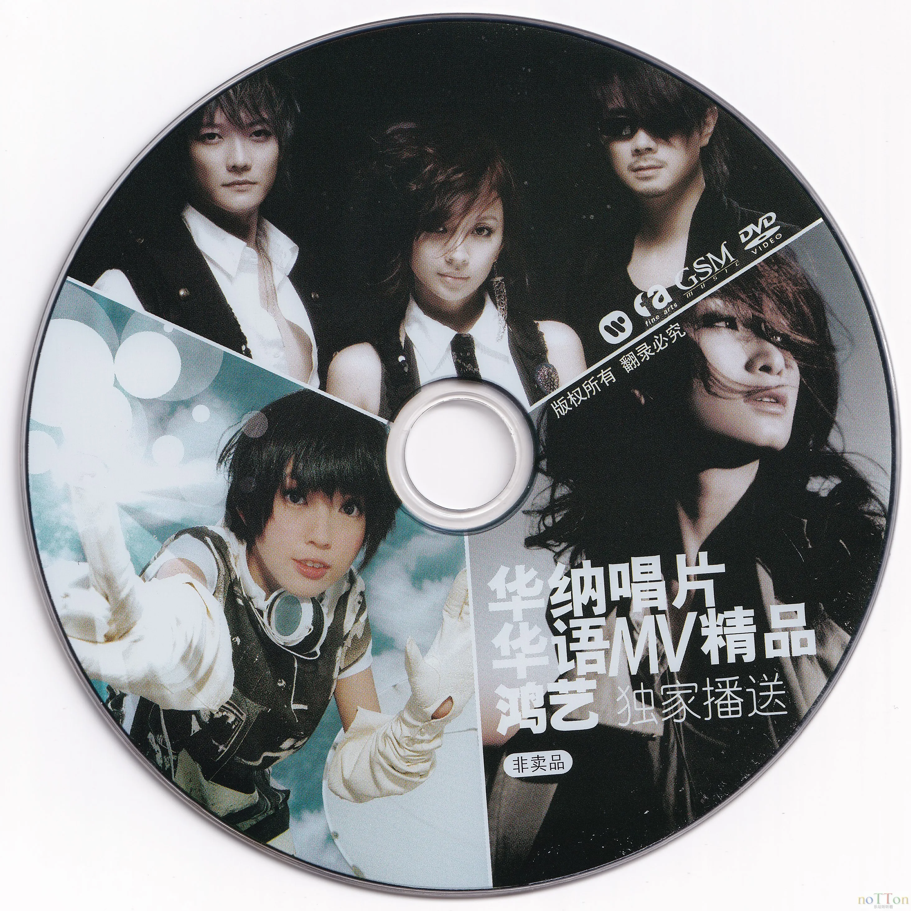 碟.webp