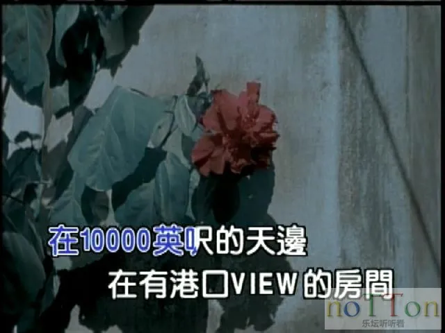 5.webp