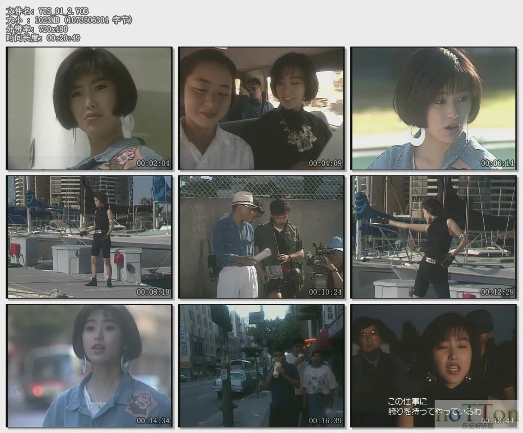 VTS_01_29.VOB.webp